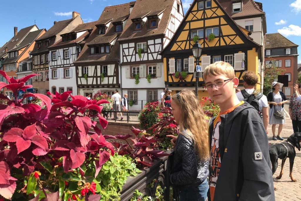 Lullaby House - Large, Full Comfort 5 Star Chalet House In The Vosges Ramonchamp 外观 照片