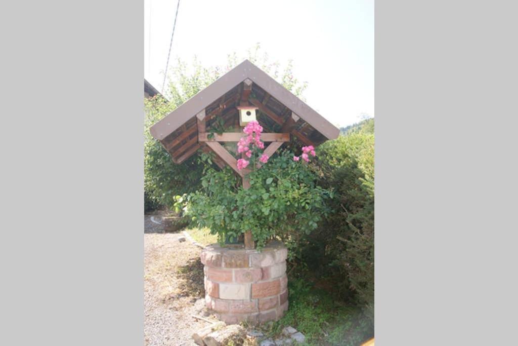 Lullaby House - Large, Full Comfort 5 Star Chalet House In The Vosges Ramonchamp 外观 照片