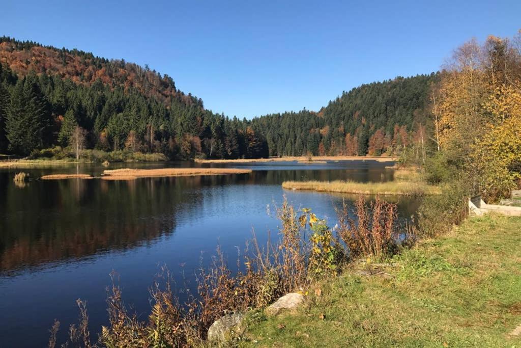 Lullaby House - Large, Full Comfort 5 Star Chalet House In The Vosges Ramonchamp 外观 照片